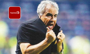 الوداد يتخلص من فوزي البنزرتي: تقرير مغربي حصري